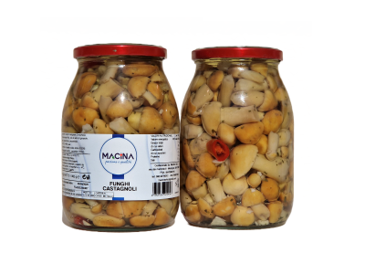MACINA FUNGHI CASTAGNOLI IN OLIO DI GIRASOLE 1062G